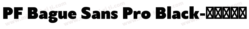 PF Bague Sans Pro Black字体转换
